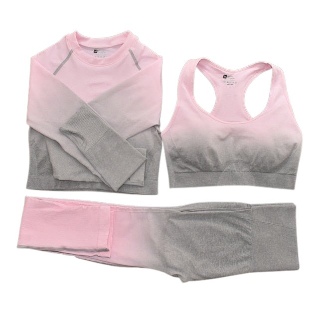 Seamless Ombre Complete Gym Set - Flamin' Fitness